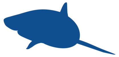 silhouette de requin pour logo, pictogramme, site Web, illustration d'art, infographie ou élément de conception graphique. formatpng png