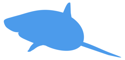 Shark Silhouette for Logo, Pictogram, Website, Art Illustration, Infographic, or Graphic Design Element. Format PNG