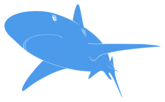 silhouette de requin pour logo, pictogramme, site Web, illustration d'art, infographie ou élément de conception graphique. formatpng png