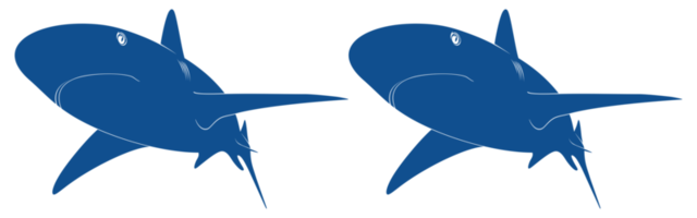 silhouette de requin pour logo, pictogramme, site Web, illustration d'art, infographie ou élément de conception graphique. formatpng png