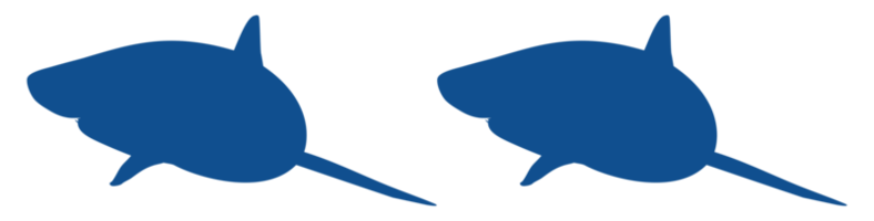 silhouette de requin pour logo, pictogramme, site Web, illustration d'art, infographie ou élément de conception graphique. formatpng png