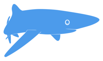 silhouette de requin pour logo, pictogramme, site Web, illustration d'art, infographie ou élément de conception graphique. formatpng png