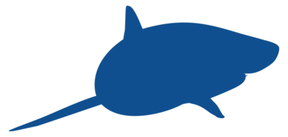 silhouette de requin pour logo, pictogramme, site Web, illustration d'art, infographie ou élément de conception graphique. formatpng png