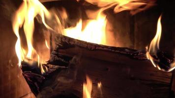 fogo quente e aconchegante queimando com chamas laranja em vista de perto video