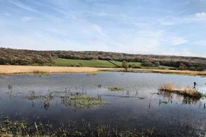 A view of Leighton Moss Nature Reserve photo