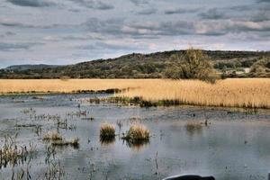 una vista de la reserva natural de leighton moss foto