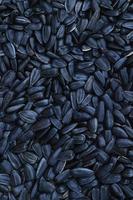 A pattern of many unprocessed fried sunflower seeds in a black shell. photo