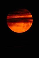 flor sangre luna llena en mayo poco antes del eclipse lunar con color rojo y nubes pasajeras foto