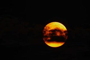 Flower blood full moon in May shortly before the lunar eclipse with yellow color photo