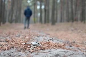 Young man loses his keys bunch on Russian autumn fir wood path. Carelessness and losing keys concept photo