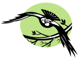 oiseau corbeau volant avec une branche png