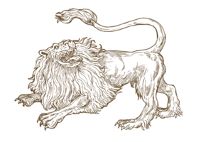 Angry lion roaring looking up viewed from the side png