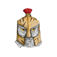 Owl Wearing Spartan Helmet Tattoo png