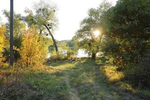 hermoso paisaje otoñal con puesta de sol entre los árboles verdes y naranjos. lugar pintoresco con lago foto