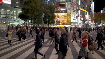 Tóquio, Japão 2019-11-22. shibuya atravessando em tóquio japão câmera lenta de grande grupo de pessoas cruzando o cruzamento video