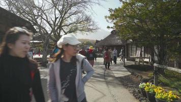 japon - 2018-11-18. touristes visitant oshino hakkai, japon video