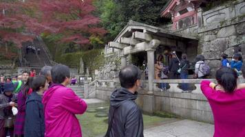 2019-11-23 KYOTO, JAPAN. People at the Otova waterfall in Kiyomizu-dera - a Buddhist temple complex in Kyoto. Buddhist Temple Kiyomizu-dera is one of the main attractions of the city of Kyoto. video