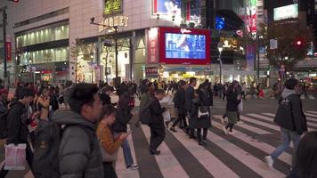 Tóquio Japão 2019-11-22. shibuya atravessando em tóquio japão câmera lenta de grande grupo de pessoas cruzando o cruzamento video