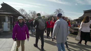 japão - 2019-11-18. turistas visitando oshino hakkai, japão video