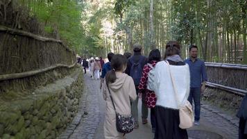 2019-11-23 Kyoto, Japan. Tourists at the Arashiyama Bamboo Grove, which is a natural forest of bamboo in the Kyoto area of Japan. Arashiyama Bamboo Grove is a popular tourist spot in Kyoto. video