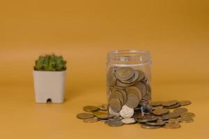 Saving money in the jar Banking finances invest in insurance and retirement funds and cactus on yellow background. photo