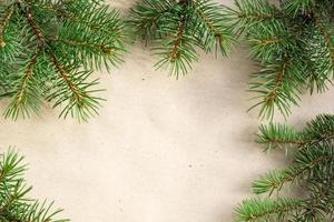 fir branches border on light rustic background, good for christmas backdrop photo