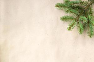 fir branches border on light rustic background, good for christmas backdrop photo