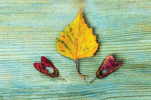 Autumn abstract background from yellow leaf and maple seeds on a blue wooden board. photo