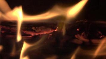 Warm and cozy fire burning with orange flames in a close up view video