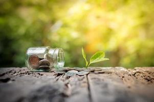 Plant growing in saving coins and money coins in the bottle on wooden background photo