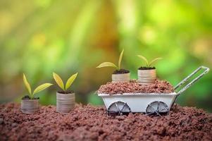 las plantas jóvenes están creciendo en una pila de monedas para la inversión empresarial o el concepto de ahorro foto