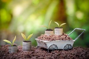 las plantas jóvenes están creciendo en una pila de monedas para la inversión empresarial o el concepto de ahorro foto