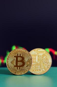 Two gold bitcoins lie on the green surface on the background of the display, which depicts the growth of the position on the chart photo