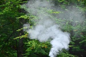 White smoke spreads over the background of forest trees photo