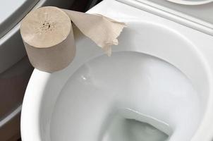 A roll of gray toilet paper lies on a white ceramic toilet in the bathroom photo