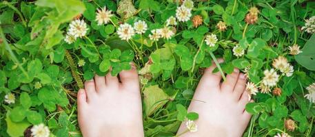 Baby feet barefoot on green grass photo