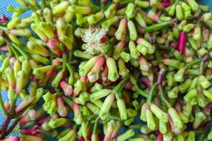 Top view of some fresh cloves photo