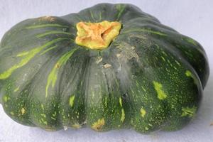 Green pumpkin on the white background photo