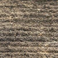 Soil, cultivated dirt, earth, ground, brown land background. Organic gardening, agriculture. Nature closeup. Environmental texture, pattern. photo
