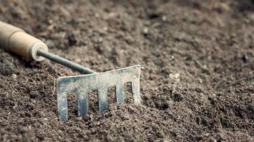 Garden tool. Dirty rake in the background soil. Background in blur. photo