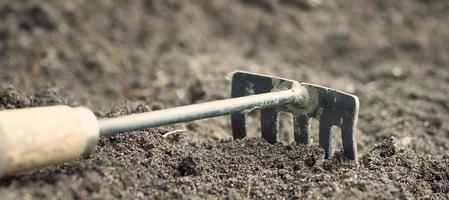 Garden tool. Dirty rake in the background soil. Background in blur. photo