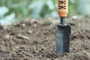 Garden trowel on the ground against the background of soil and green leaves in blur. photo