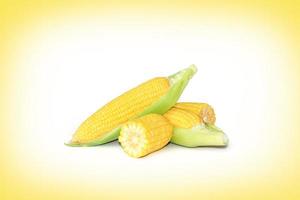 corn on a white background with yellow photo