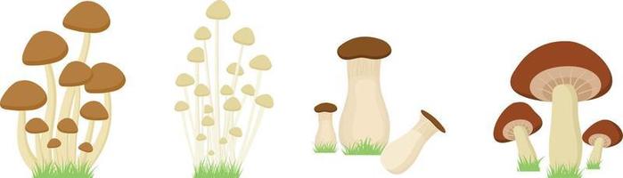 set of Mushroom with grass on white background. vector