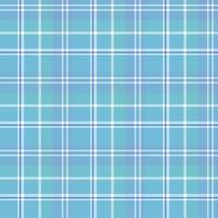 Seamless pattern in interesting cute blue and white colors for plaid, fabric, textile, clothes, tablecloth and other things. Vector image.