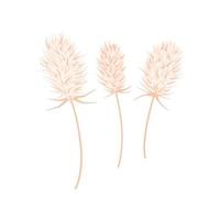 Dry thistle on a white background. For design of postcards, invitations to the wedding. Hand drawn vector background