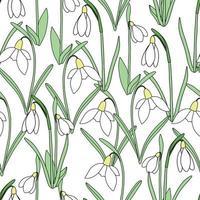 Seamless endless vector pattern, delicate snowdrops on a white background.