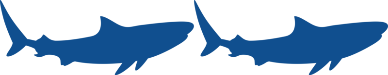 silhouette de requin pour logo, pictogramme, site Web, illustration d'art, infographie ou élément de conception graphique. formatpng png