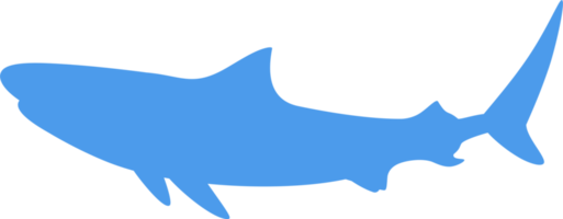 silhouette de requin pour logo, pictogramme, site Web, illustration d'art, infographie ou élément de conception graphique. formatpng png