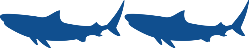 silhouette de requin pour logo, pictogramme, site Web, illustration d'art, infographie ou élément de conception graphique. formatpng png